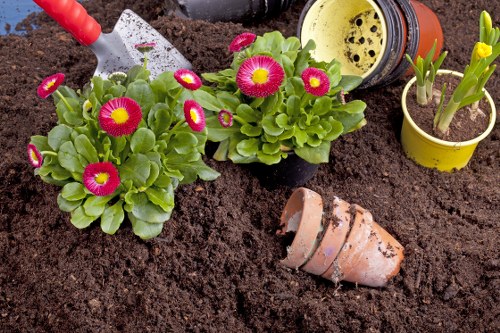 Soft landscaping with turfing and planting in a Honoroak garden