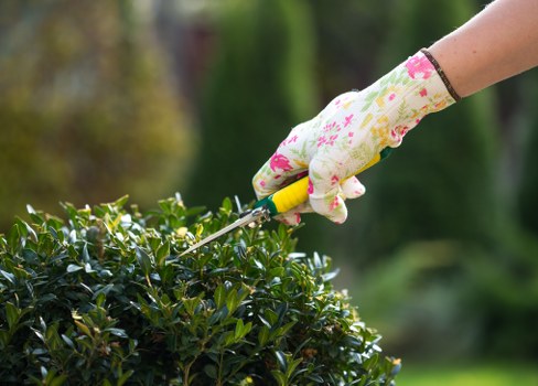Landscaping Honoroak modern slavery policy commitment