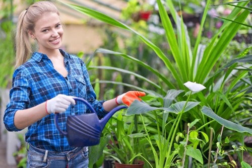 Free quote discussion for a landscaping project