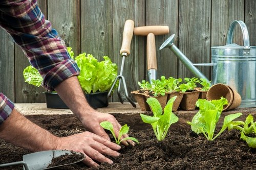 Fresh turf being laid on a prepared garden lawn in Honoroak