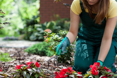 Waste and materials managed during landscaping project