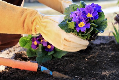A local turf laying team preparing a residential garden in Honoroak