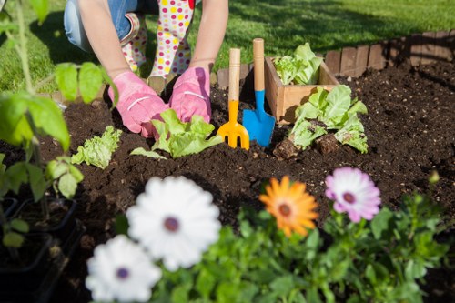 Garden landscaping work with plants and materials