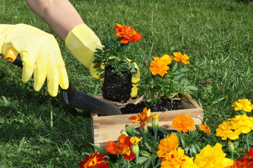 Supplier audit process for landscaping supply chains