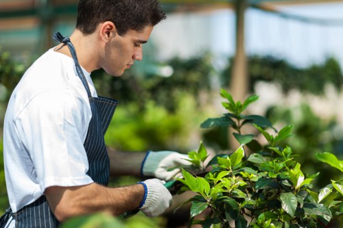 Keyboard navigation and usability for landscaping information