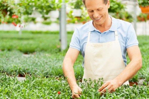 Professional landscaping service during site inspection