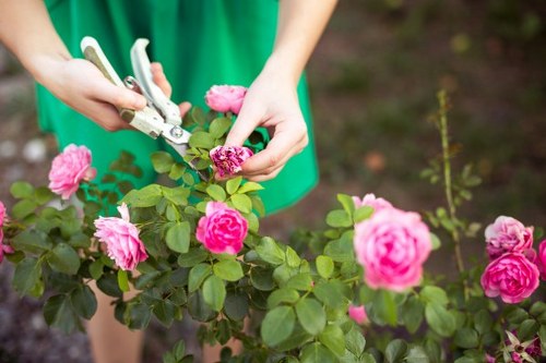 Final resolution and record closure for a landscaping complaint