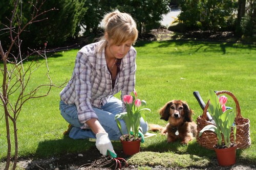Garden landscaping features including paving and raised beds in Honoroak