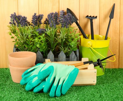 Property owner comparing landscaping pricing options
